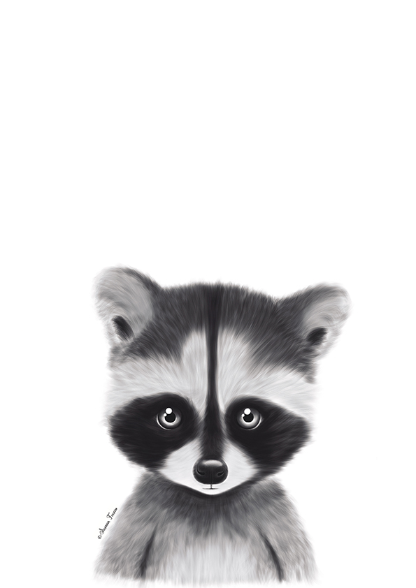 Web.67. Animales del bosque. Mapache